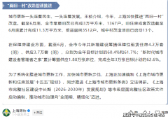 同于一般的全体搬家或全体回迁