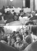 能够一并请求对该规范性文件进行审